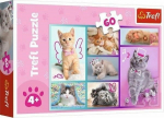 Trefl Puzzle 60 of elements Cute kittens