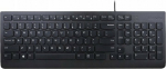 Lenovo keyboard LENOVO kl&aacute;vesnice dr&aacute;tov&aacute; Essential Wired Keyboard - CZ/SK