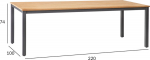 Table MONTANA 220x100xH74cm, teak