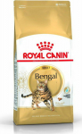 Roy Royal Canin Bengal Adult cats dry food 2 kg Poultry, Vegetable