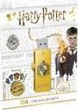 Emtec USB-Stick 16 GB M730 USB 2.0 Harry Potter Hufflepuff
