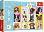 Trefl Puzzle 60 element?w S?odkie dogs