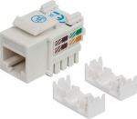 Intellinet Module Keystone RJ45 UTP Cat6 white - 1 port RJ45 UTP Cat6 white