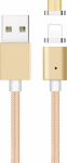 Cable USB Libox USB-A - Lightning 1 m Gold (LB0113)