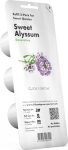 Click & Grow Smart Garden refill Kivikilbik 3tk