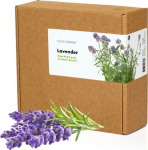 Click & Grow Plant Pod Lavendel 9tk