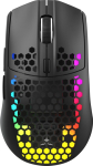 White Shark CADOR WGM-5020 Black Honeycomb