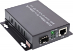 Fiber-optic InLine InLine&reg; Network Media Converter 10/100/1000Mb/s TP to SFP FO (for LC Duplex), MM, 550m