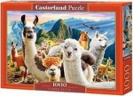 1565 Castorland Puzzle 1000 Lamy CASTOR