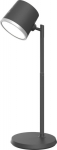 Standart TABLE LAMP LED FLASHLIGHT BL-1005 BLACK