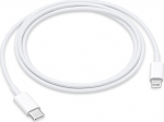 Apple Lightning cable - Lightning male