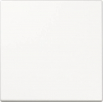JUNG LS1700WW - Kunststoff - screwless - 1 St&uuml;ck(e)