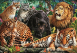Clementoni Puzzle Compact Wild Cats 500 element&oacute;w (35584)