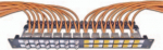 Triotronik Wirewin High Quality 24-Port Keystone Module blank panel, 19", schwarz, geschirmt