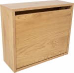 Shoe cabinet AALBORG 49x18xH41.5cm, oak