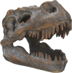 Nemesis Now: Tyrannosaurus - Rex Skull Freestanding (16cm) (D1245D5)