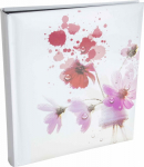 Poldom Album BD100PG Assort Black