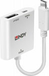 Lindy USB Type C to DP Converter with PD