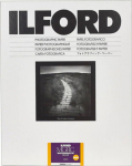 1x 25 Ilford MG RC DL 25M 18x24