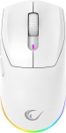 INNY Rampage Prote Wireless Mouse M5 24000 DPI RGB LED 1K Hz White