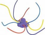 Dajar Octopus water toy Play Fun