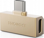 FiiO x SNOWSKY Tiny A - gold - Headphone Amplifier z DAC (USB-C + 3.5mm port)