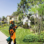 Makita DUA301Z cordless chainsaw