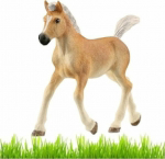 Schleich Horse figurine for children toy foal Haflinger
