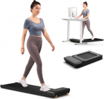 Kingsmith King Smith Fitness Walkingpad A1 pro