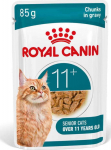 Roy ROYAL CANIN Ageing 11+ Chunks in gravy - wet cat food - 12x85g
