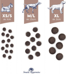 BALTICA Smaki region&oacute;w Small breeds Venison with forest fruits - dry dog food - 1kg