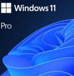 Microsoft Windows 11 Pro Retail ESD Multi-language Rebuy