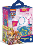 SPIN MASTER Paw Patrol 6065500 toy set