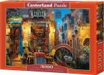 1565 Castorland 3000 EL. A unique place (300426)