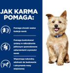 Hill's PD K/D Kidney Care Original - dry dog food - 4kg