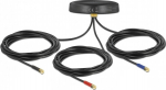 Delock antenna - Smart Home - 2 dBi (f&uuml;r 698 - 960 MHz), 2 dBi (f&uuml;r 1710 - 2700 MHz)