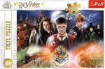 Trefl Puzzle 300 Mysterious Harry Potter TREFL