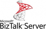 Microsoft MS OVL BizTalk Svr 2Core SA Ent 1Y1Y