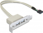 DELOCK Slotblech 2x USB A