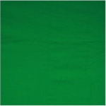 Walimex Cloth Background green 2.85x6m