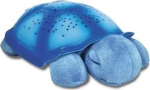 Cloud B Blue turtle