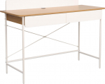 Desk FERDIE 120x48xH88cm, ash/white