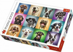 Trefl Puzzle 1000el - Fun dog portraits (10462)