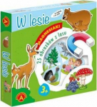 Alexander Magnets - W forest