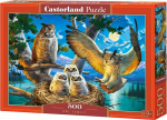 1565 Castorland Puzzle 500 Owl Family CASTOR