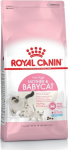 Roy Royal Canin Mother & Babycat cats dry food 4 kg Adult Poultry