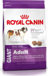 Roy ROYAL CANIN Giant Adult - dry dog food - 15 kg
