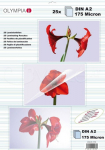 Olympia Laminating DIN A2 175 Mic 25 Piece transp