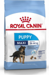 Roy Royal Canin SHN Maxi Puppy - dry puppy food - 4kg