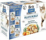 BRIT Care Fillets in Jelly Flavour Box- wet cat food - 12 x 85g